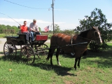 Dad's Wagon